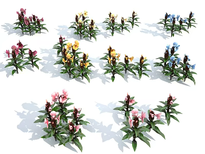 Colorful Flowering Plants With Pink Yellow Blue Blooms And Green Leaves 3d model