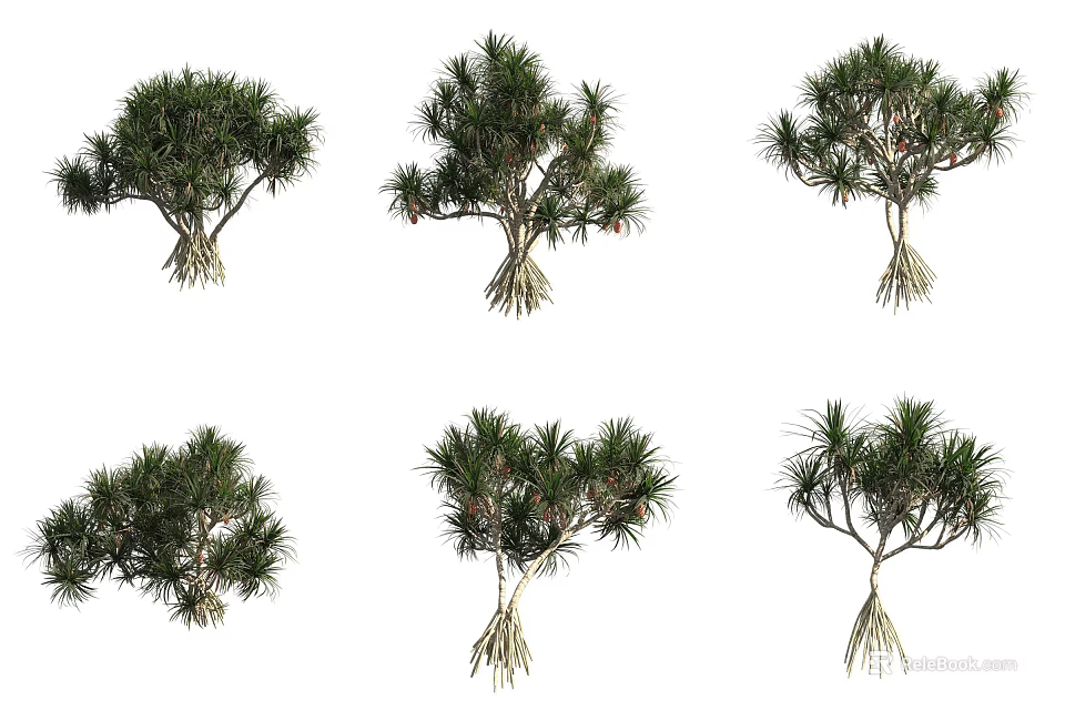 Diverse Arbor Specimens With Distinct Root Structures And Lush Green Foliage 3d model 