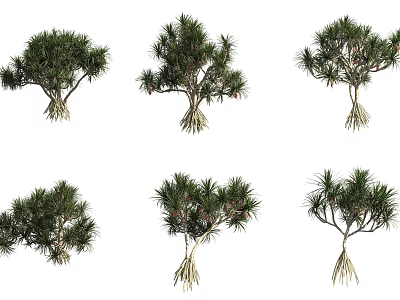 Diverse Arbor Specimens With Distinct Root Structures And Lush Green Foliage 3d model