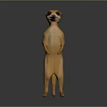 3D Rendered Meerkat Standing Upright With Orange Fur And Gray Gradient Background
