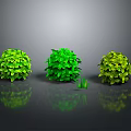 Three Green Spherical Plants Against Gray Background With Reflections And Small Grass Beside Middle One