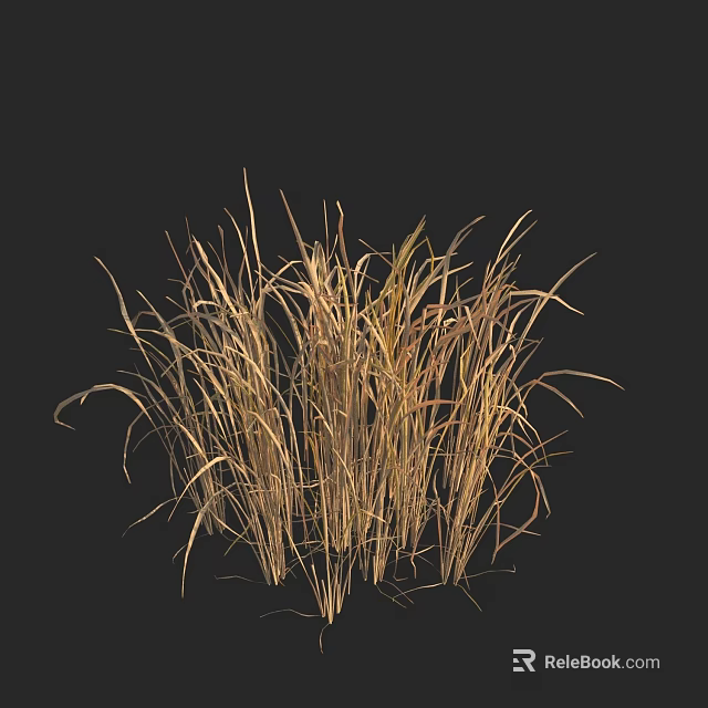 Natural Dried Flowers Arrangement In Vase With Golden Brown Grass For Home Decor 3d model 