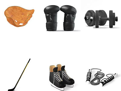 Various Sports Equipment with Baseball Glove Boxing Gloves Dumbbells Hockey Stick Ice Skates Jump Rope 3d model