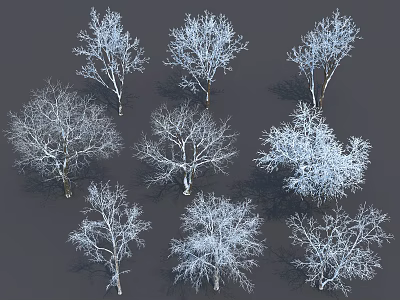 Snow Covered Arbor Trees With Various Winter Branch Shapes And Silhouettes 3d model