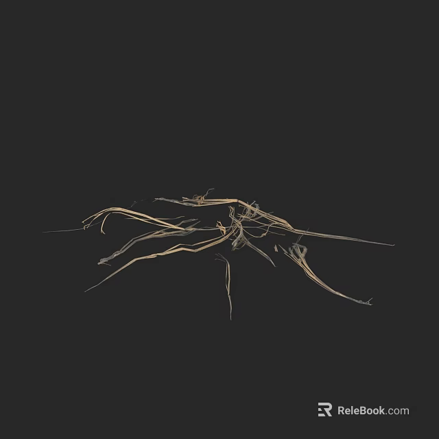Dried Plant Branches Against Black Background With Natural Brown Twigs 3d model 
