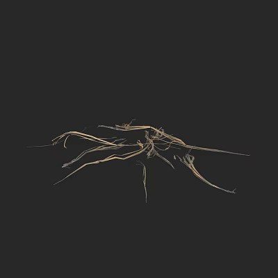 Dried Plant Branches Against Black Background With Natural Brown Twigs 3d model