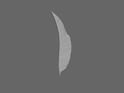 Light Colored Delicate Feather With Detailed Texture Isolated On Gray Background 3d model