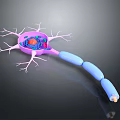 3D Rendered Neuron Structure Medical Device for Medical Education and Research
