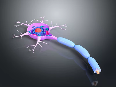 3D Rendered Neuron Structure Medical Device for Medical Education and Research 3d model