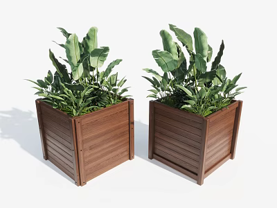 Square Wooden Flower Pots With Lush Green Leafy Plants For Garden Decoration 3d model