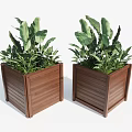 Square Wooden Flower Pots With Lush Green Leafy Plants For Garden Decoration