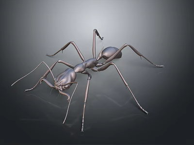 Metallic 3D Ant Sculpture with Long Detailed Legs on Dark Background 3d model