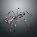 Metallic 3D Ant Sculpture with Long Detailed Legs on Dark Background