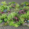 Vibrant Mixed Flowers and Diverse Green Plants in a Lush Garden Bed