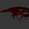 Vibrant Red Lobster Crawler 3D Model In Dynamic Pose With Extended Claws And Reflective Surface 3d model