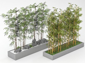 Bamboo Flower Pond 3d model