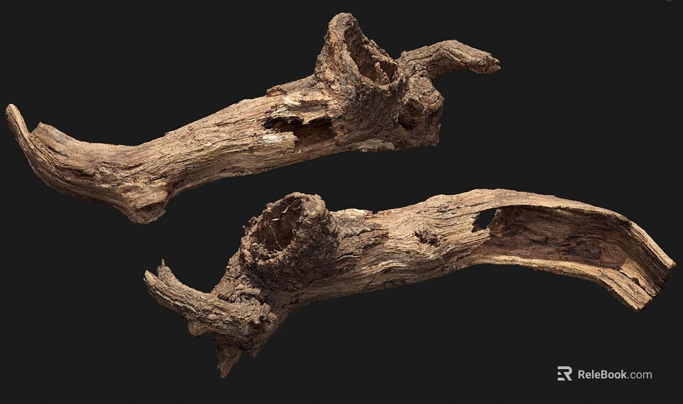 Natural Stone Wood Logs With Unique Texture And Organic Holes For Decorative Use 3d model 