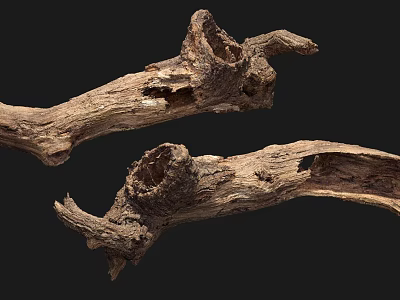 Natural Stone Wood Logs With Unique Texture And Organic Holes For Decorative Use 3d model