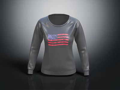Gray Long Sleeve Sweatshirt With American Flag Design For Casual Wear 3d model