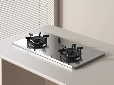 Modern Two Burners Stainless Steel Gas Stove With Sleek Design On Kitchen Countertop 3d model