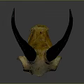 Unique Animal Skull With Long Curved Dark Horns On Gray Background