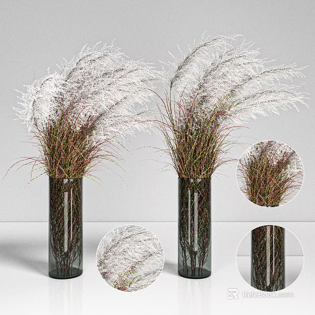 Glass Cylindrical Vase With White Plume Reed Grass And Green Red Stems For Home Decor 3d model 