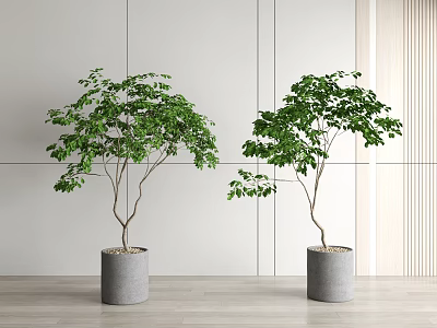 Modern potted plants potted plants 3d model