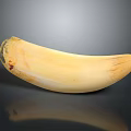 Cream Colored Ivory Sculpture With Natural Texture And Smooth Surface Carving