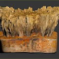 Long Wooden Handle Brush With Dense Natural Yellow Bristles For Cleaning