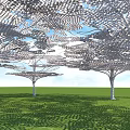Tree Inspired Pergola With Intricate Lattice Design Under Blue Sky Over Green Lawn Sunlight Shadows