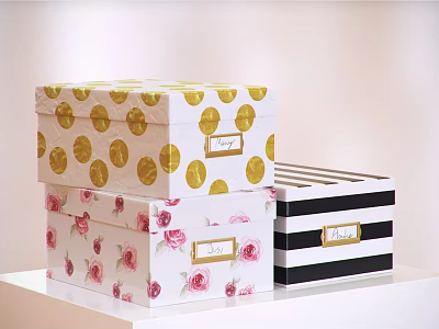 Stylish Storage Boxes Featuring Gold Polka Dots Pink Roses Striped Patterns And Labels 3d model