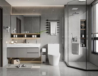 Modern Bathroom Interior Design With Large Mirror Vanity Toilet Glass Shower And Niche 3d model
