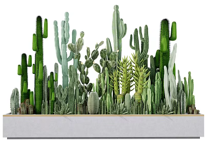 Potted Cactus Plants With Various Shapes In Gray Rectangular Planter For Indoor Decor 3d model