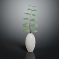 Green Leaf Plant With Slender Stem In White Hexagonal Textured Vase On Dark Background