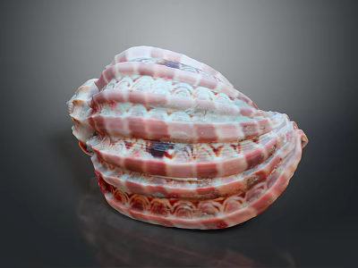 Conch Animal Shell With Pink White Stripes Shiny Surface And Intricate Patterns 3d model