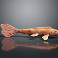 Orange And Black Spotted Koi Fish Shaped Soft Bath Toy For Children