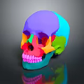 Colorful 3D Anatomical Limb Organs Model with Detailed Educational Visualization Features