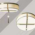 Modern Round Flush Mount Ceiling Lights With Metal Frame And Light Colored Shade 3d model