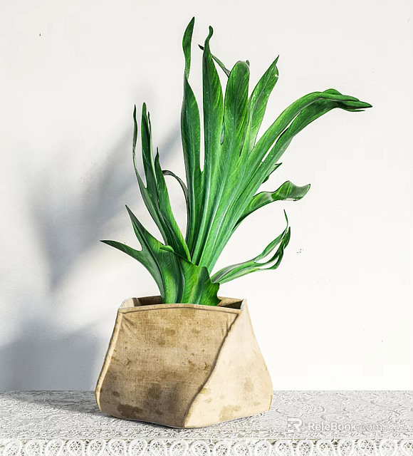 Lush Bonsai Potted Plant With Long Green Leaves In Beige Pot On White Background 3d model 
