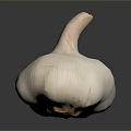 Fresh Whole Garlic Bulb With Natural Skin Texture On Dark Background