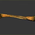 Detailed Skeletal Bone Organ Structure With Orange Black Fossil Texture