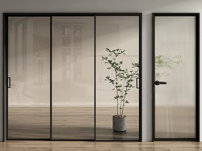 Modern Glass Doors Interior Design With Transparent Panels Vertical Stripes And Potted Plant 3d model