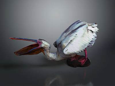 White Feathered Pelican Decorative Model With Open Red Beak And Dark Base 3d model