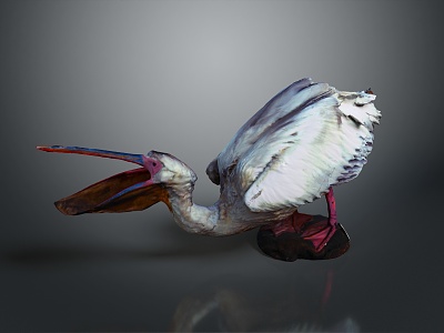 bird game animal cartoon animal realistic animal 3d model