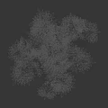 Vibrant Arbor In Natural Setting With Lush Green Leaves Multiple Branches And Healthy Growth