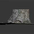 Natural Wooden Stump With Detailed Bark Texture And Exposed Tree Roots In Stone Setting