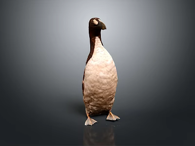 Brown And White Penguin Toy Standing On Gray Background With Reflection 3d model