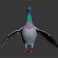 Colorful Pigeon 3D Model with Blue Head Green Neck Pink Chest and White Body