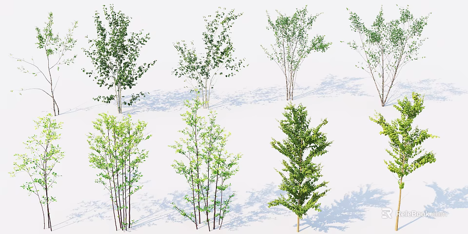 Various Arbor Tree Species Featuring Lush Green Foliage for Landscaping Projects 3d model