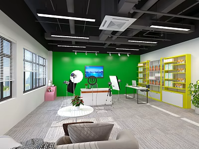 Open Layout Public Office Space With Green Wall Yellow Shelves TV Windows Sofa And Plants 3d model